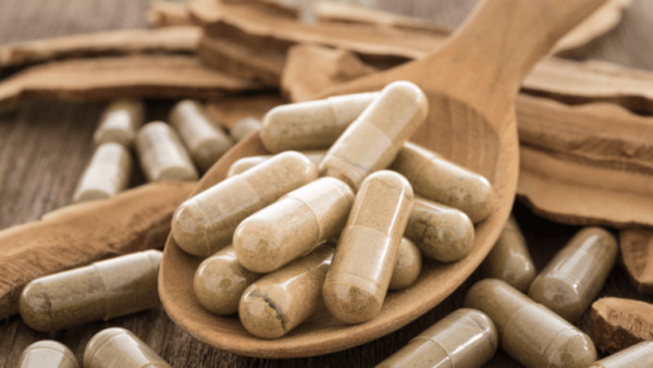 Buy turkey tail mushroom capsules